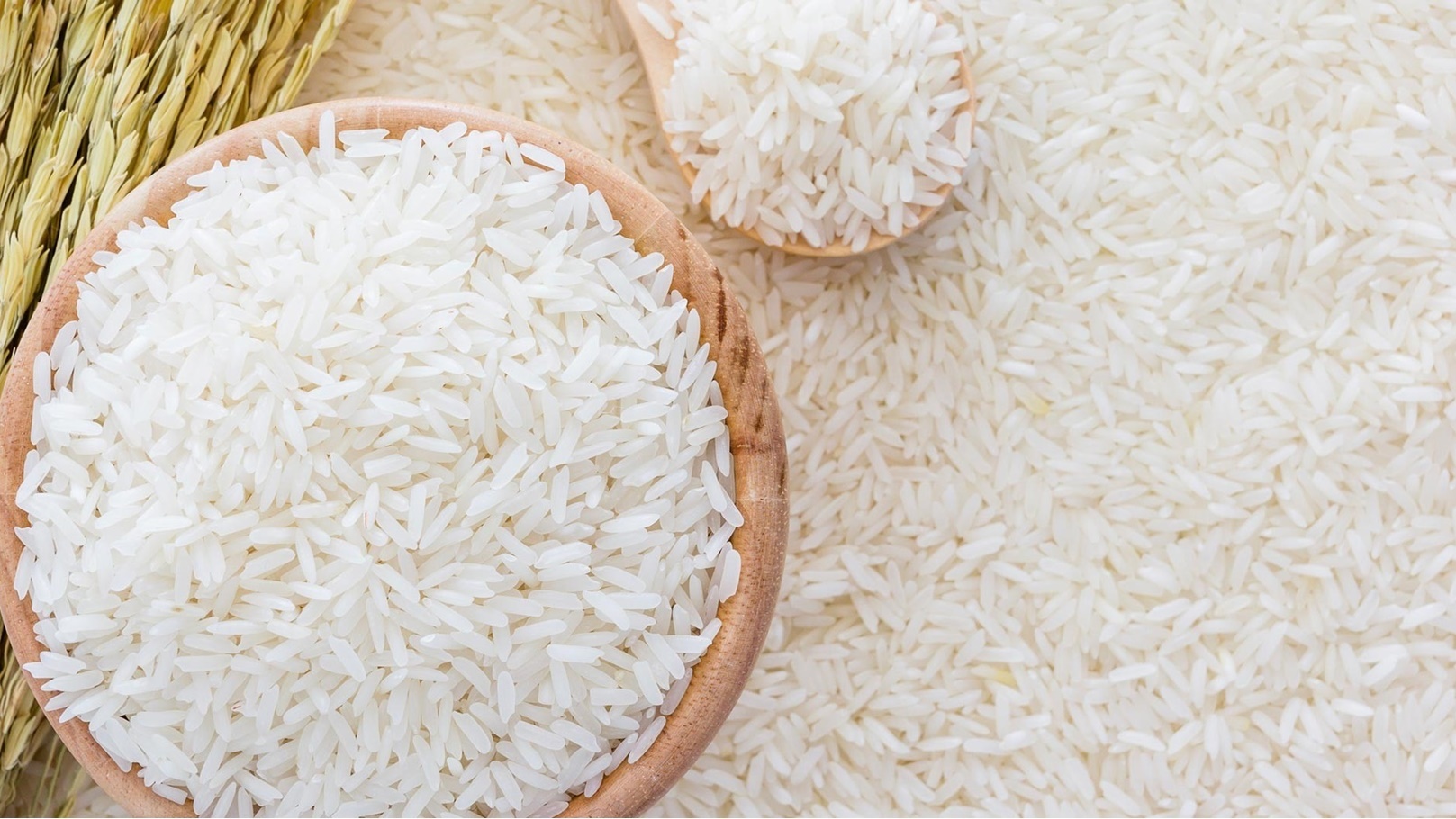 الأرز