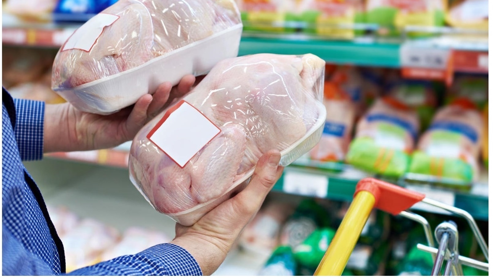 الدواجن في السلاسل التجارية