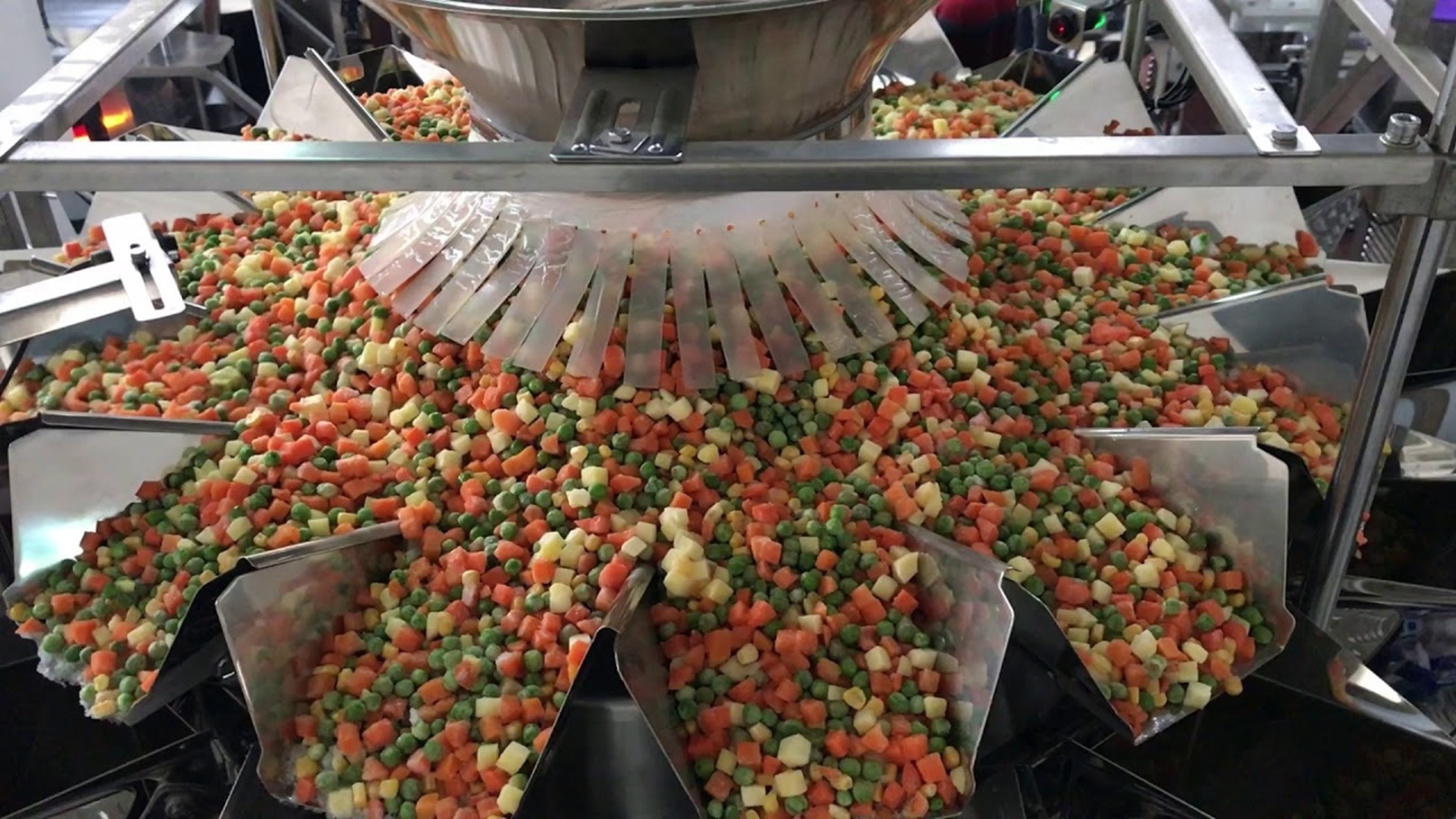 مصنع خضروات