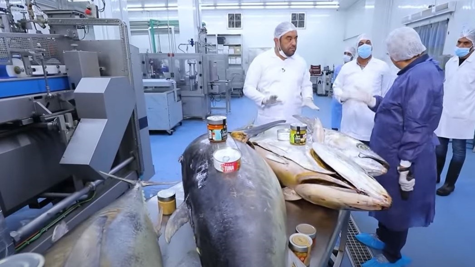 التونة العنيدة - أول مصنع للتونة في مصر