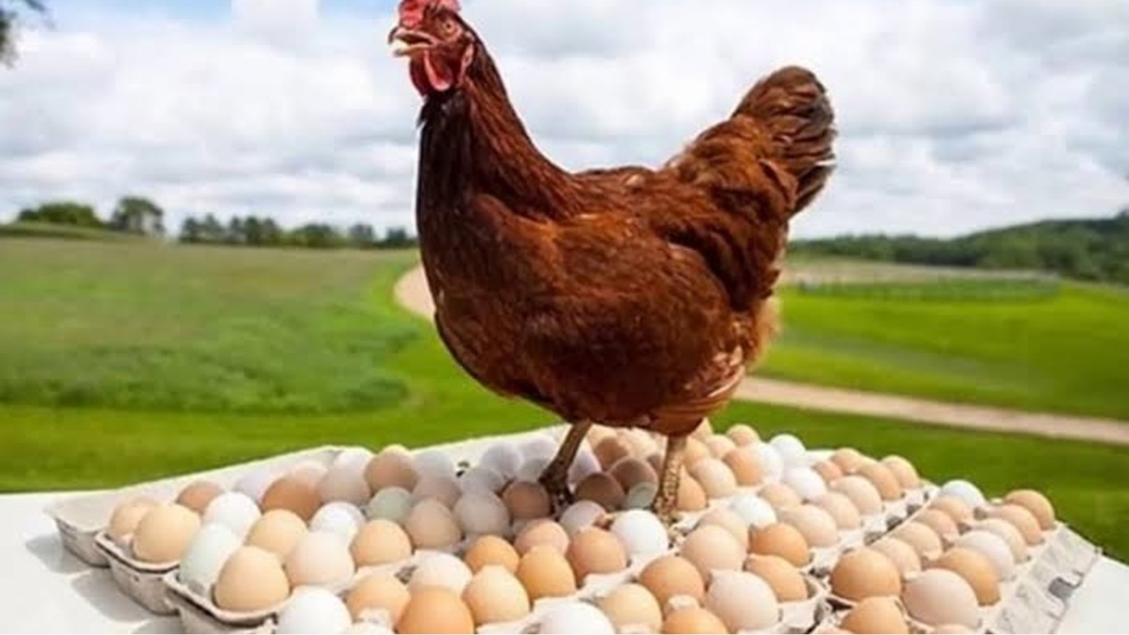 images - 2023-01-02T122859.535