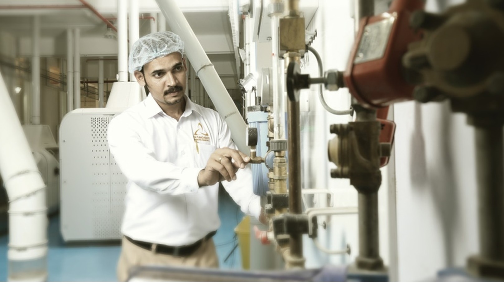 الاستثمار في المطاحن