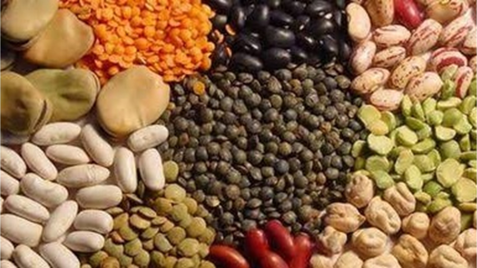 images - 2023-01-02T185834.591