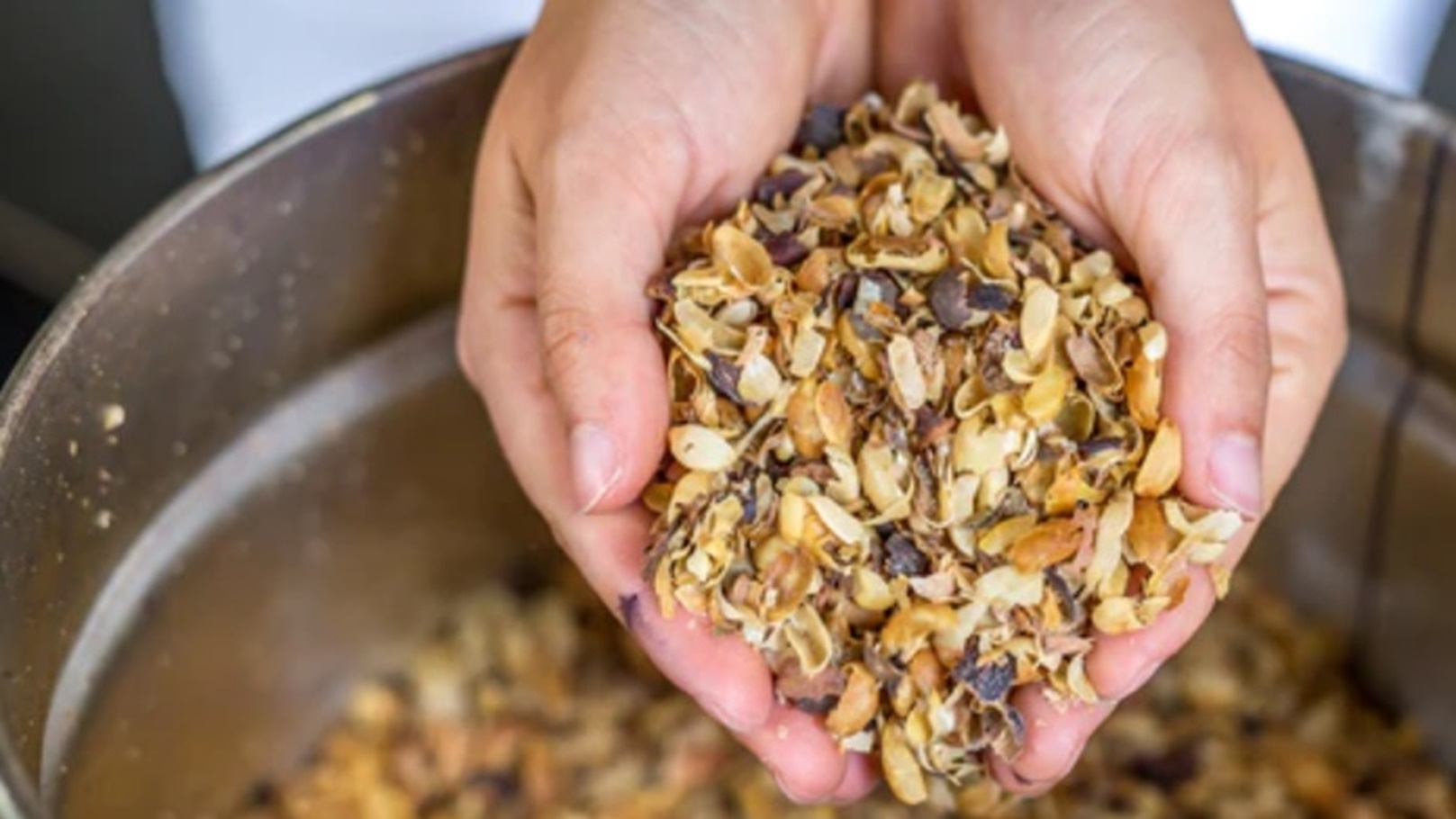 قشور القهوة