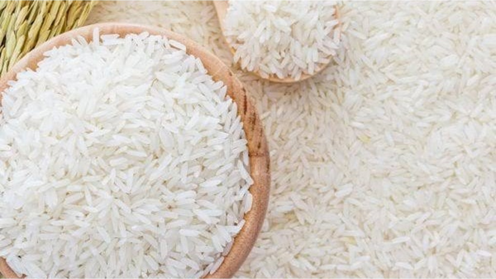 images - 2023-01-24T103408.334