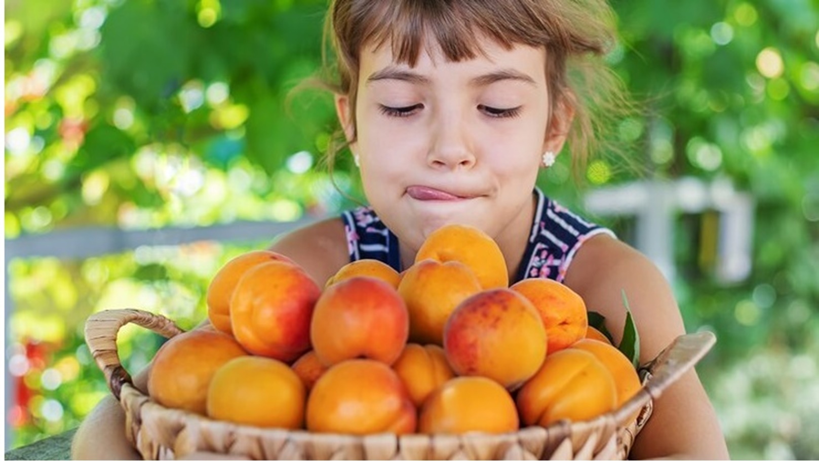 child-with-apricots-gardener-harvest-selective-focus_73944-14511