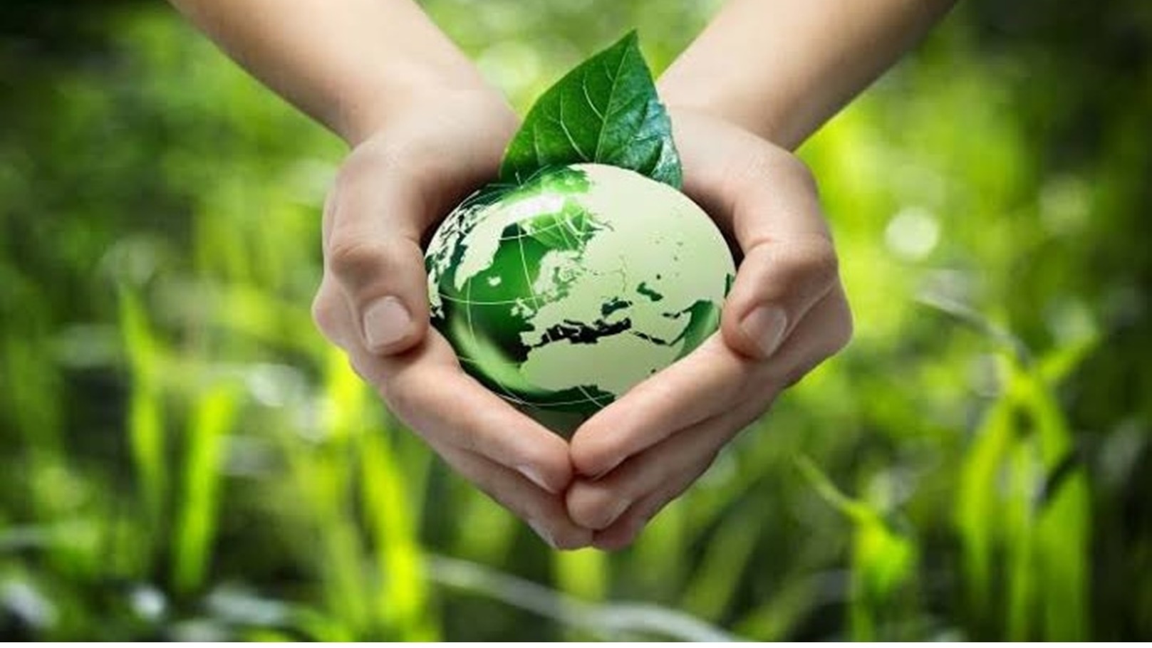 الزراعة الخضراء