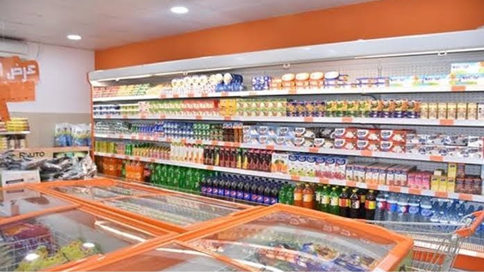 images - 2023-01-26T205633.483