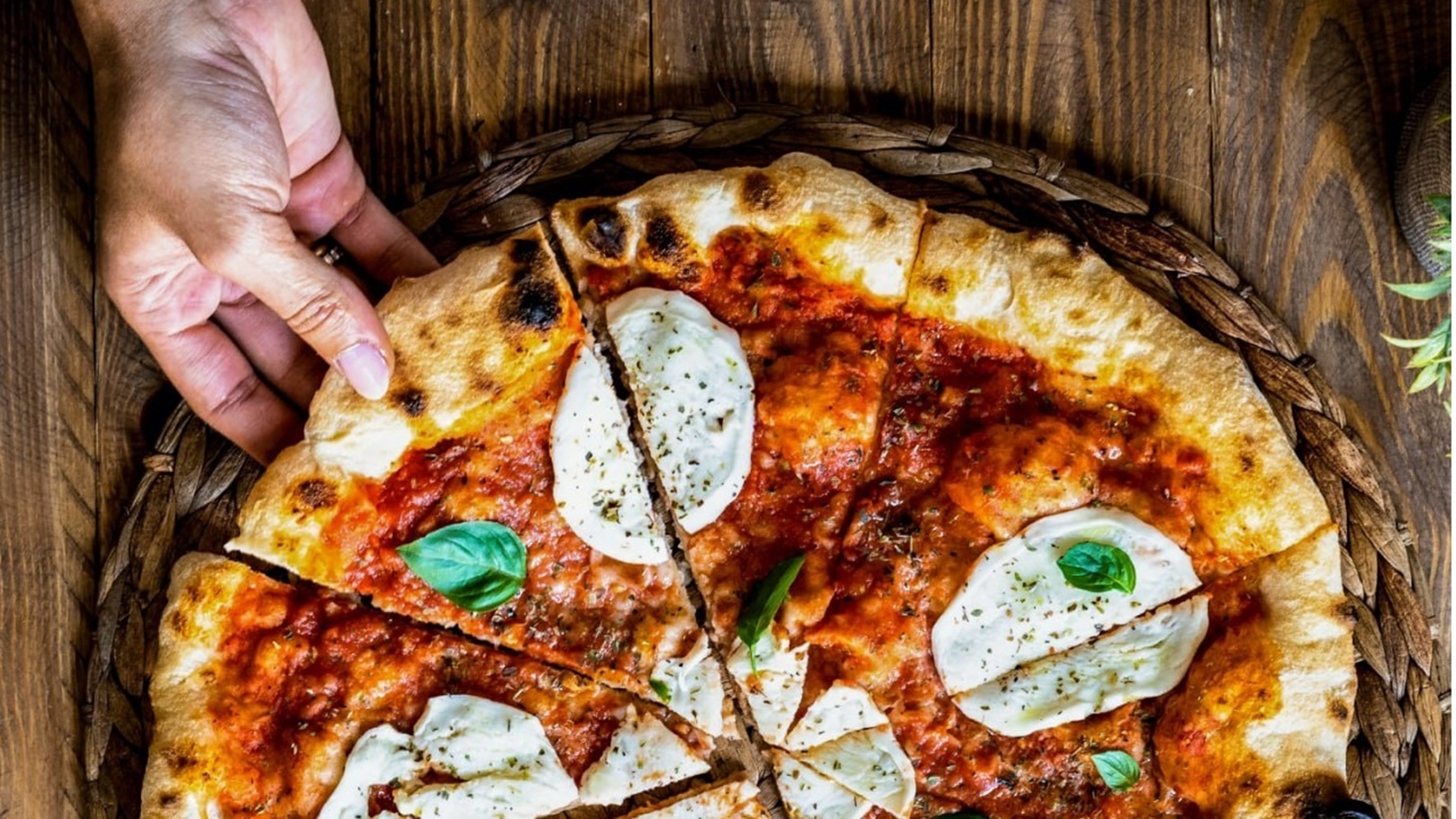 244385802_4861862147212960_6971153572606715069_n