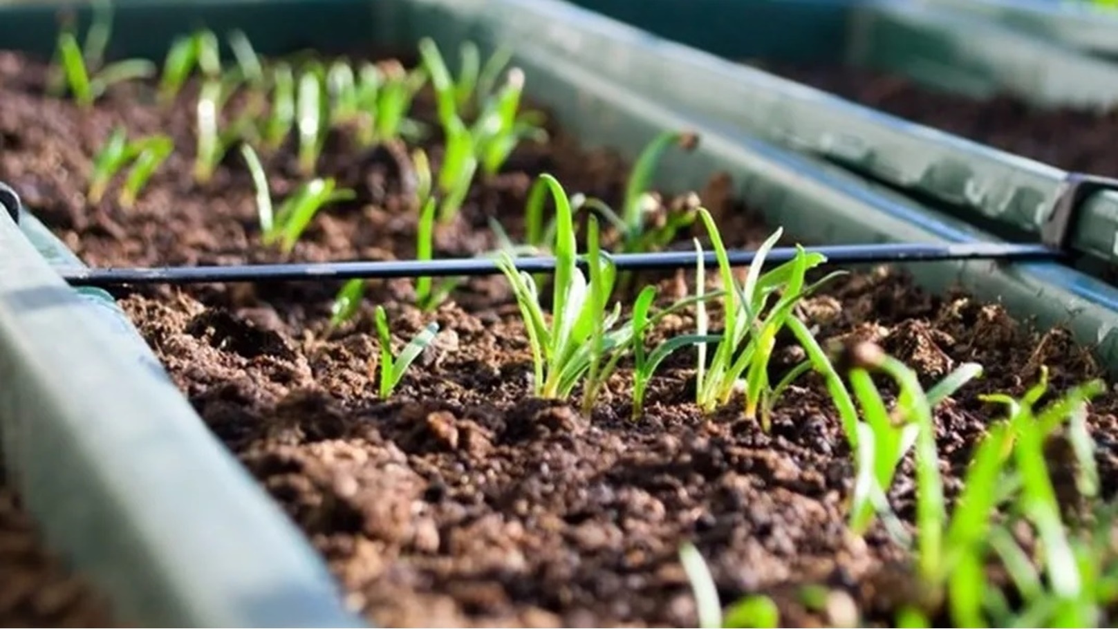 استصلاح الأراضي