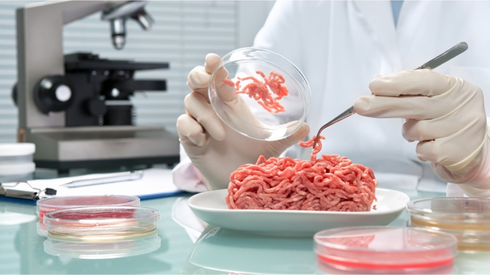 lab-grown-meat