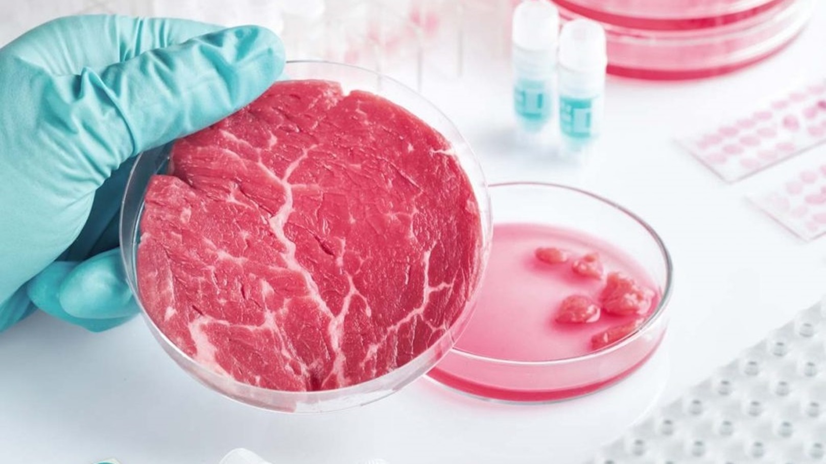 lab-grown meat