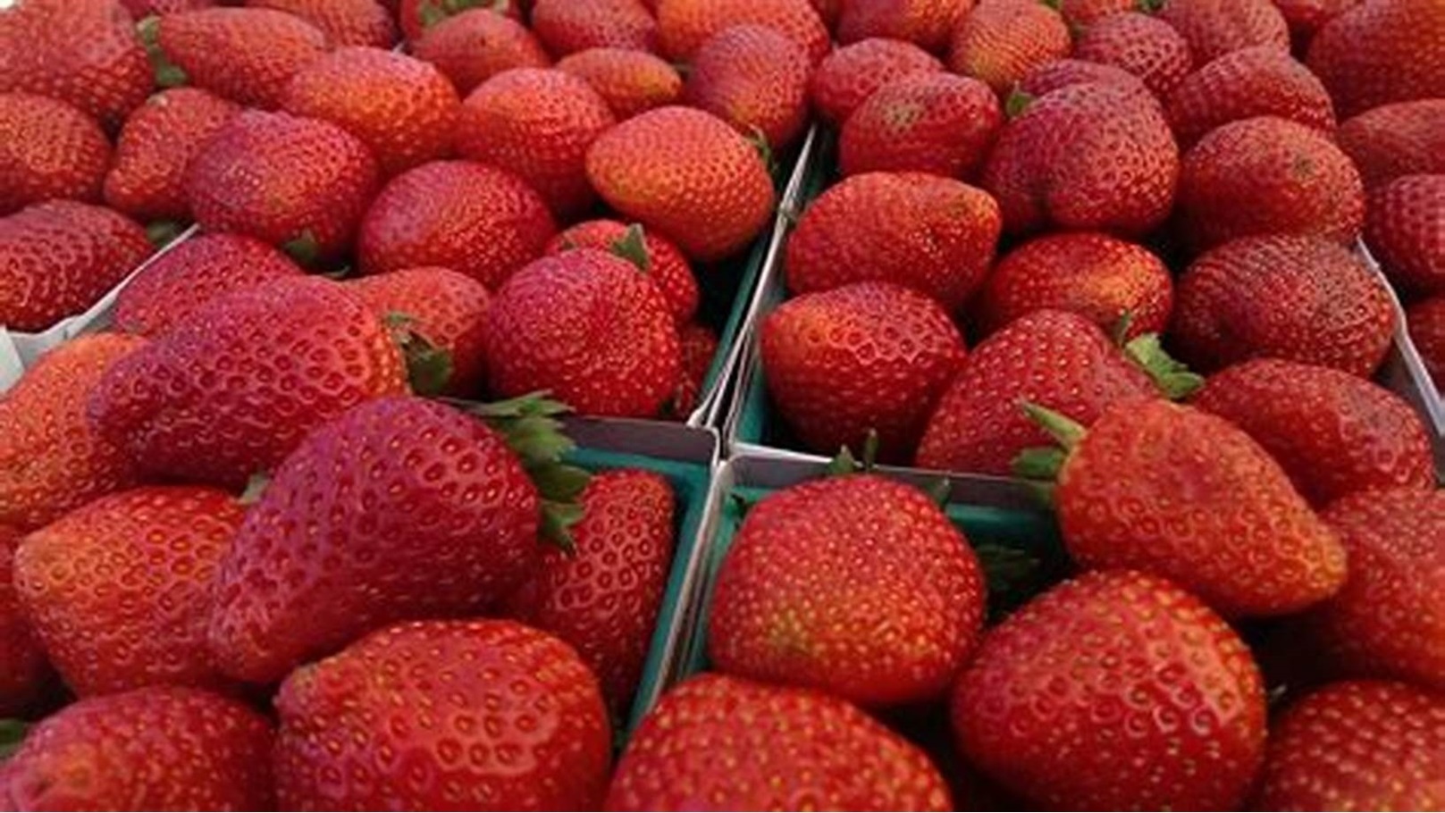 فراولة مجمدة