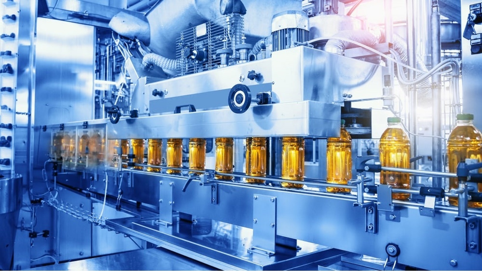 صادرات مصرية