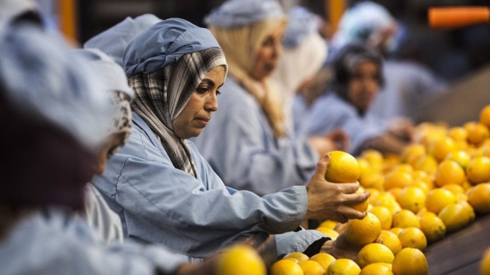 صادرات الصناعات الغذائية