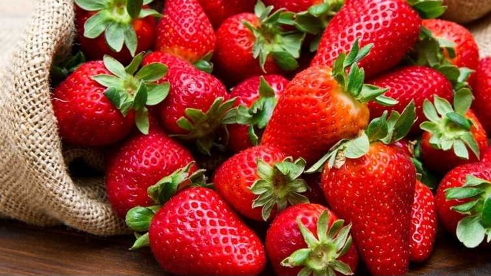 6C37F97E-F930-40A6-B6D0-1692D75D782A