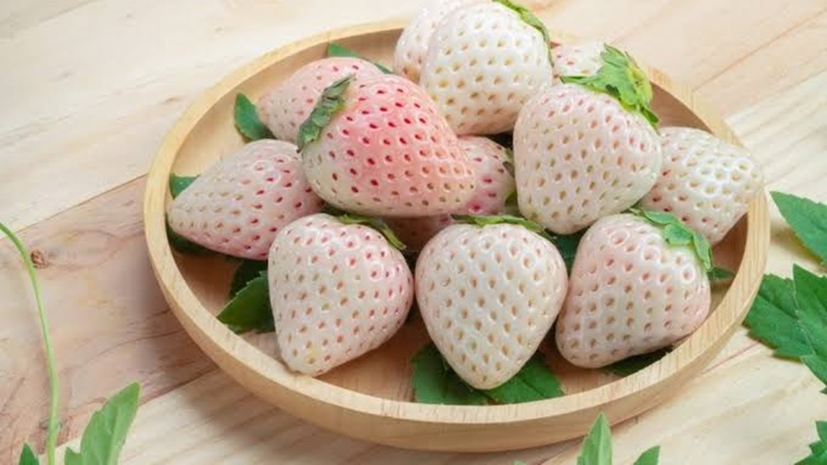 51F11878-FE12-4374-B6D7-BC06C7F08FD5