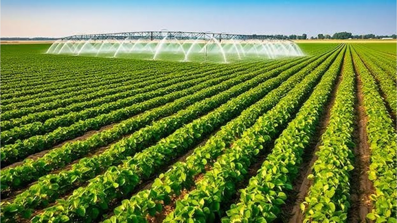 E6DD38D1-FEC6-4599-A65B-1D40EB101674