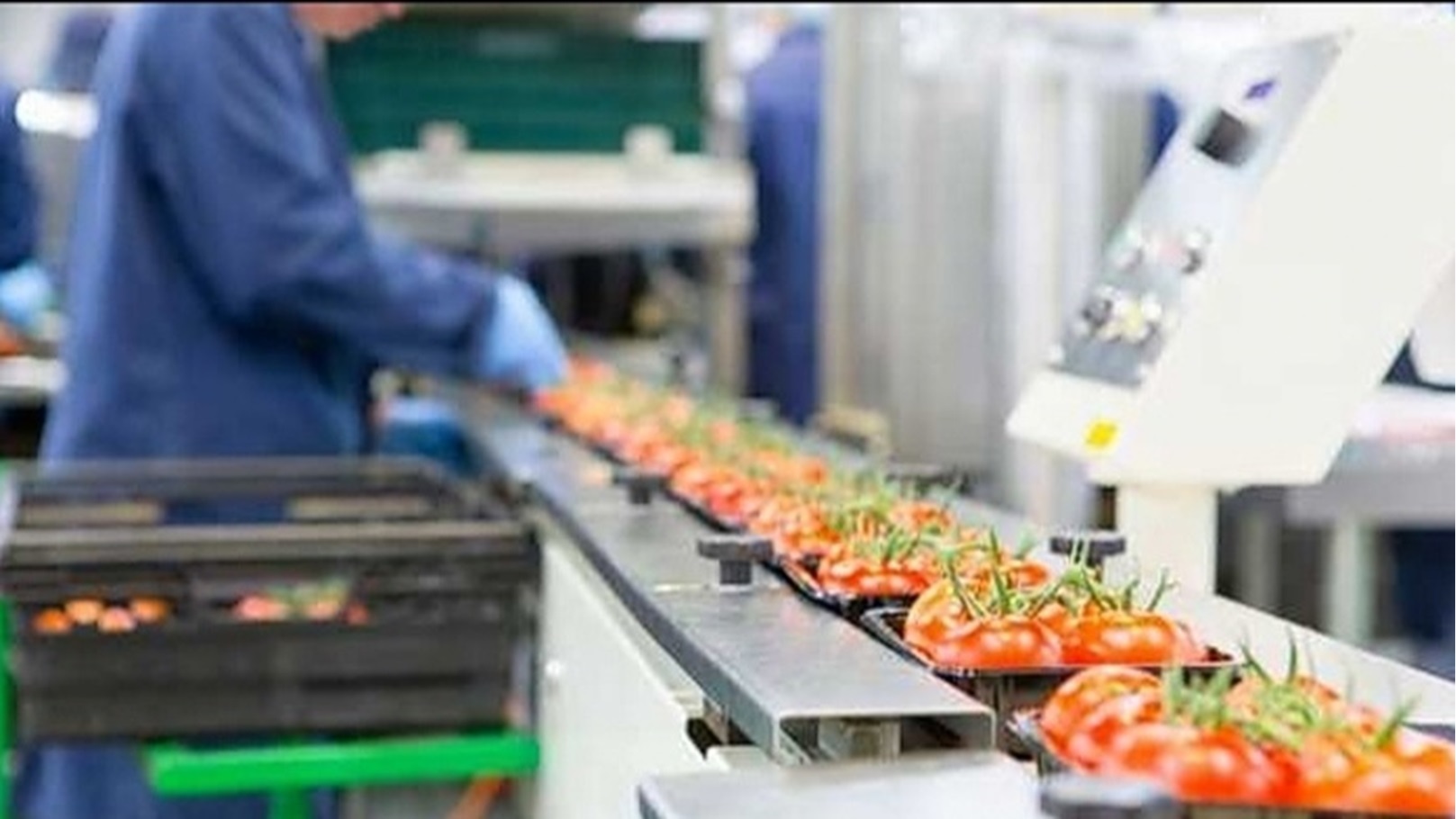 Screenshot_٢٠٢٥٠١١٨_١٧٠٣٥٣