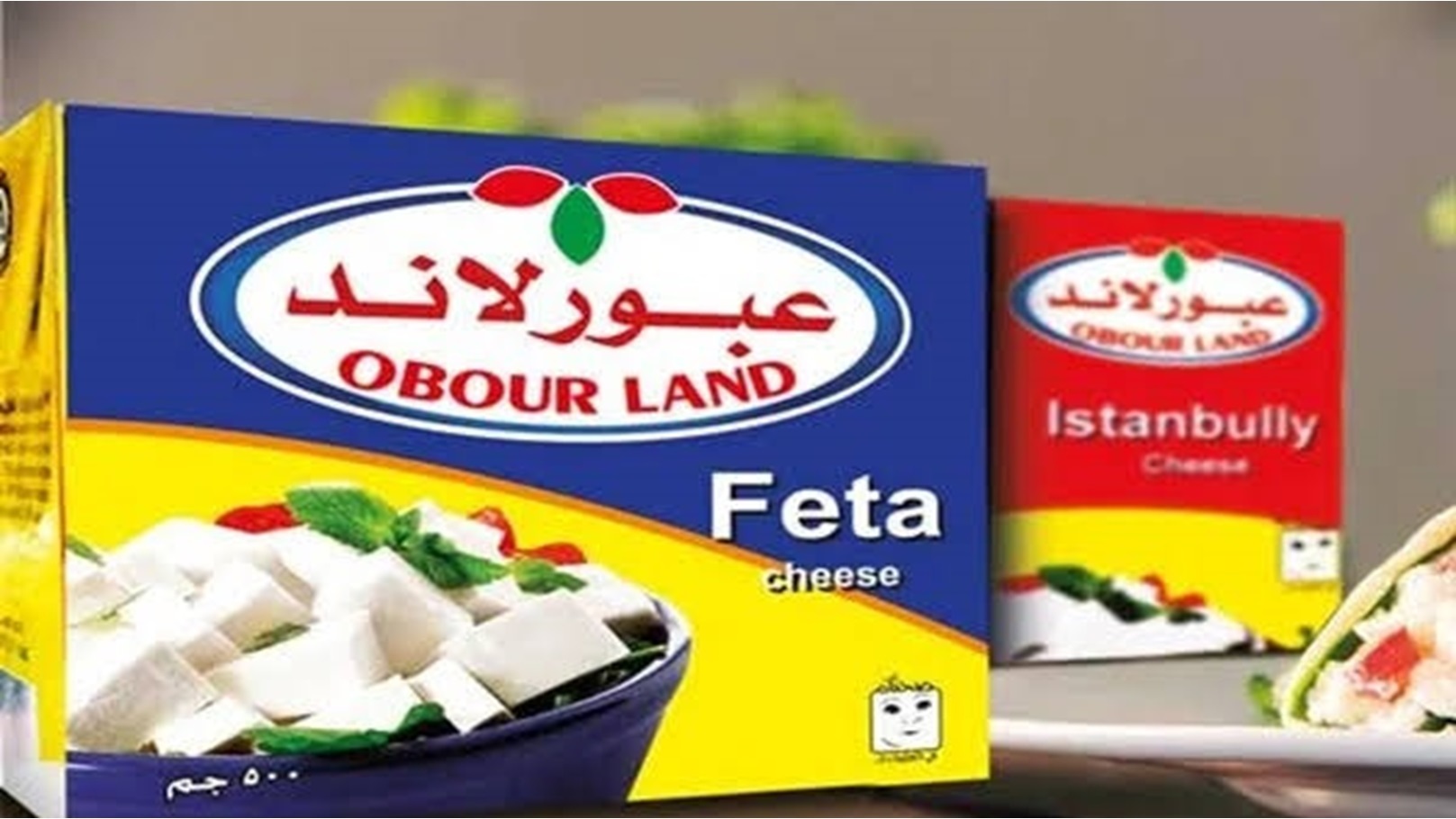 45FF7E11-E646-484D-B8E6-58CF79758621