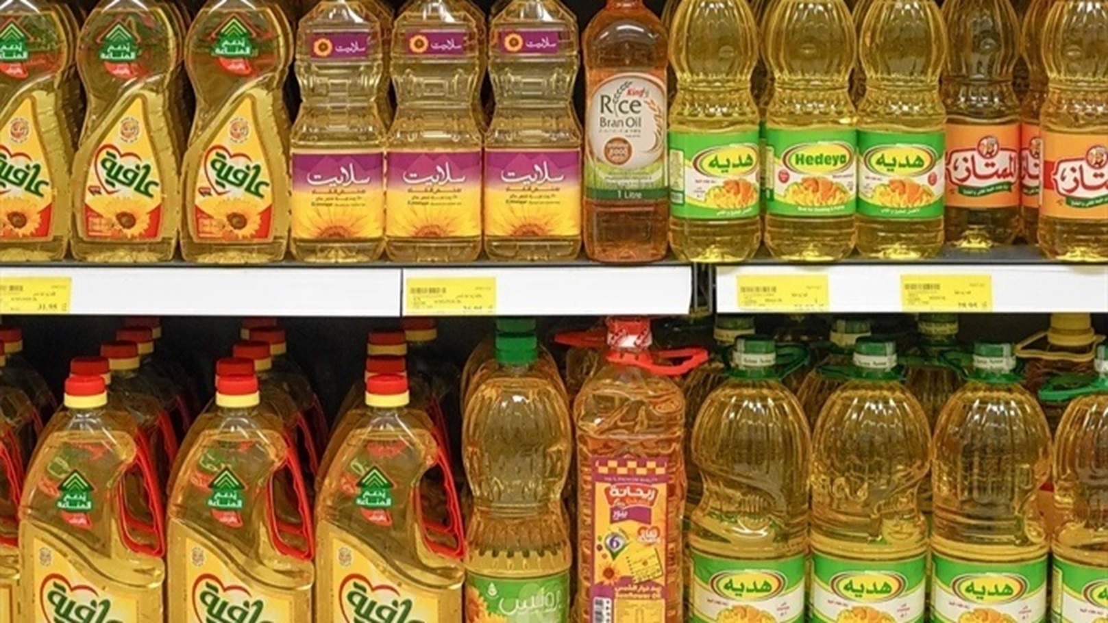 Screenshot_٢٠٢٥٠١٢٢_٢٣٣١٥٧