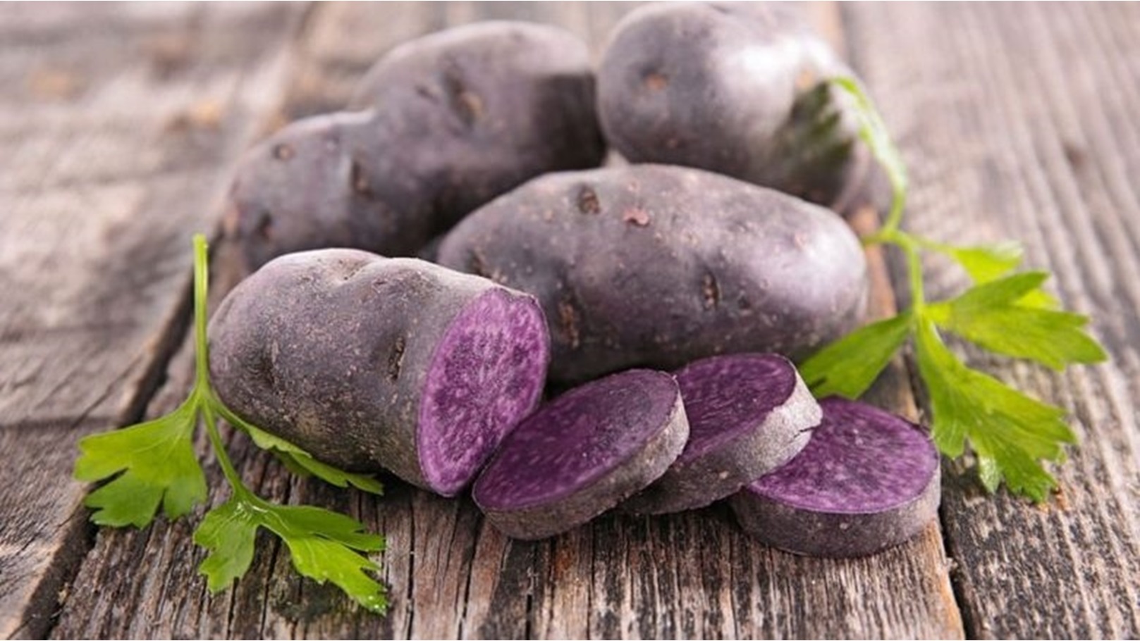 66C9B5FB-8EF6-49E8-BF81-FDDE1E8A3C9B