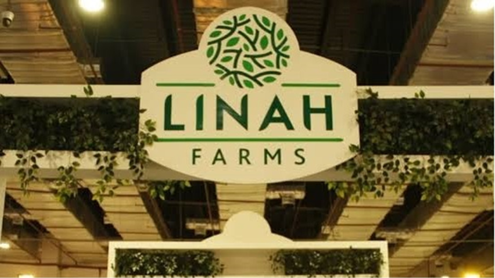 C286D77B-C7CE-420A-BF0B-42D5D3E92571