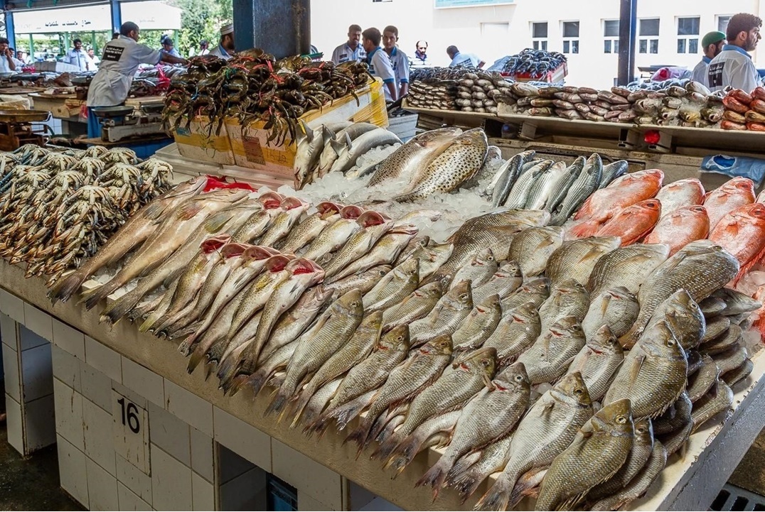 أسعار الاسماك في سوق الجملة