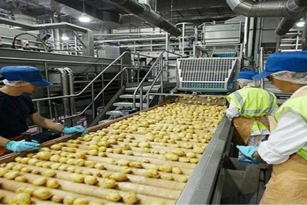 صناعات غذائية