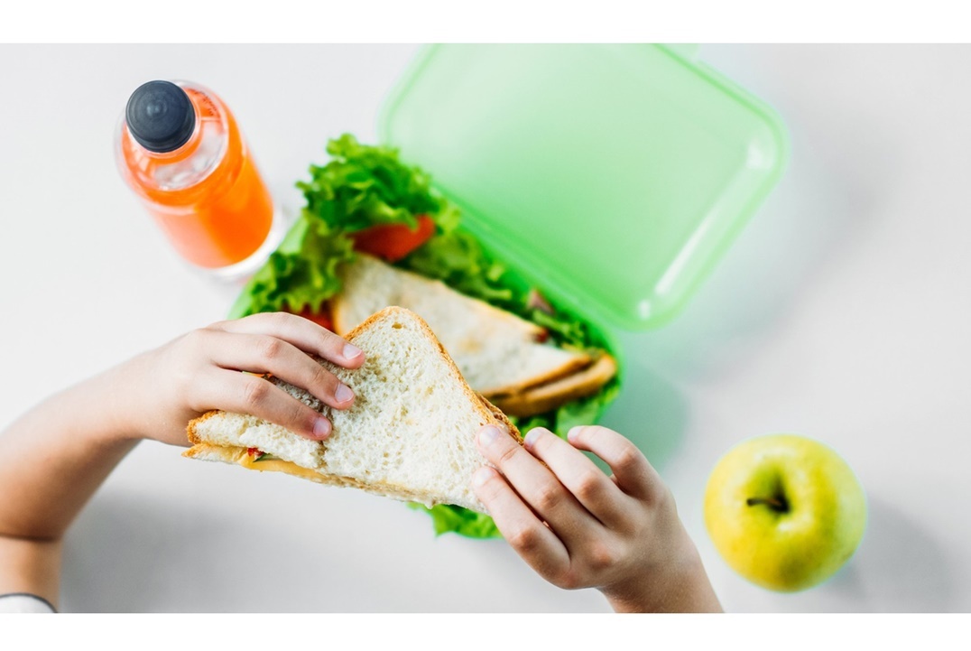 لانش بوكس مفيد