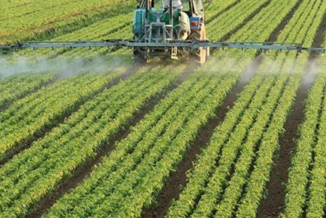 501acc80-9339-4d4b-8a99-4e4fc00bba4e-1600x1000