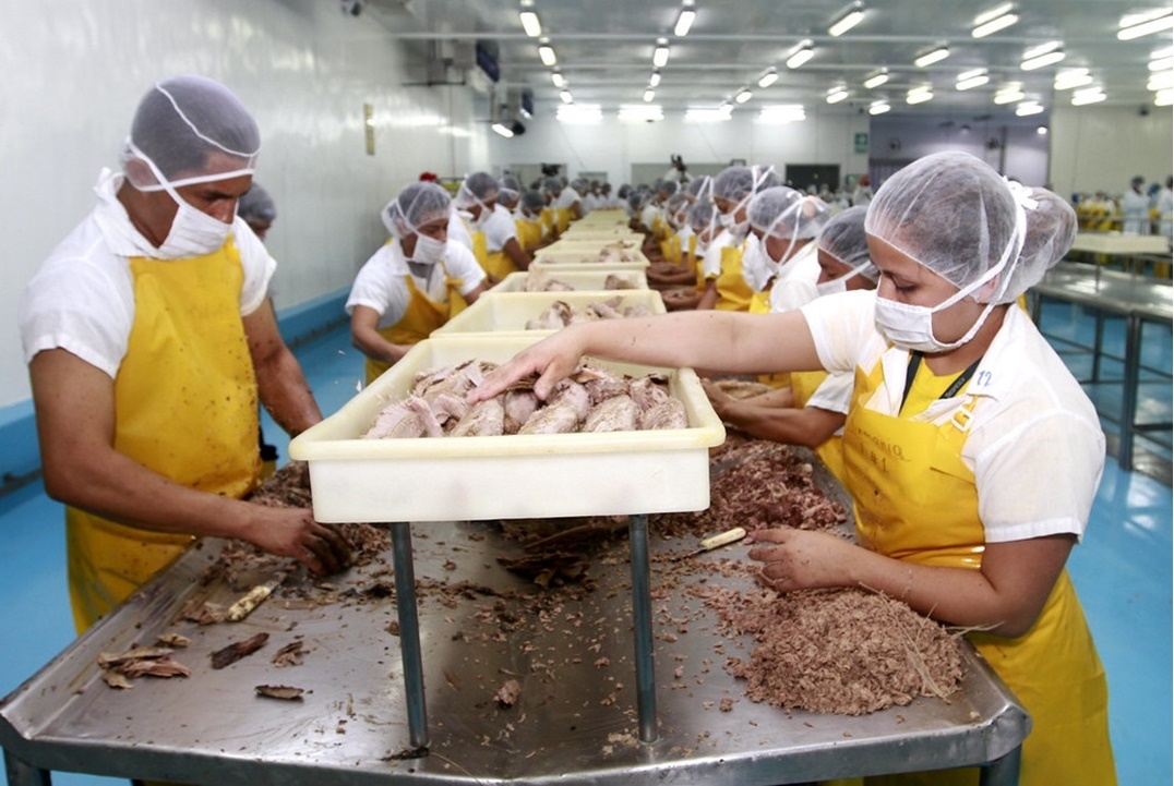 تعبئة اسماك التونة