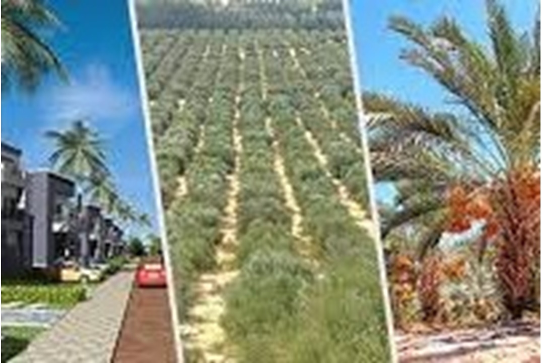 استصلاح اراضى