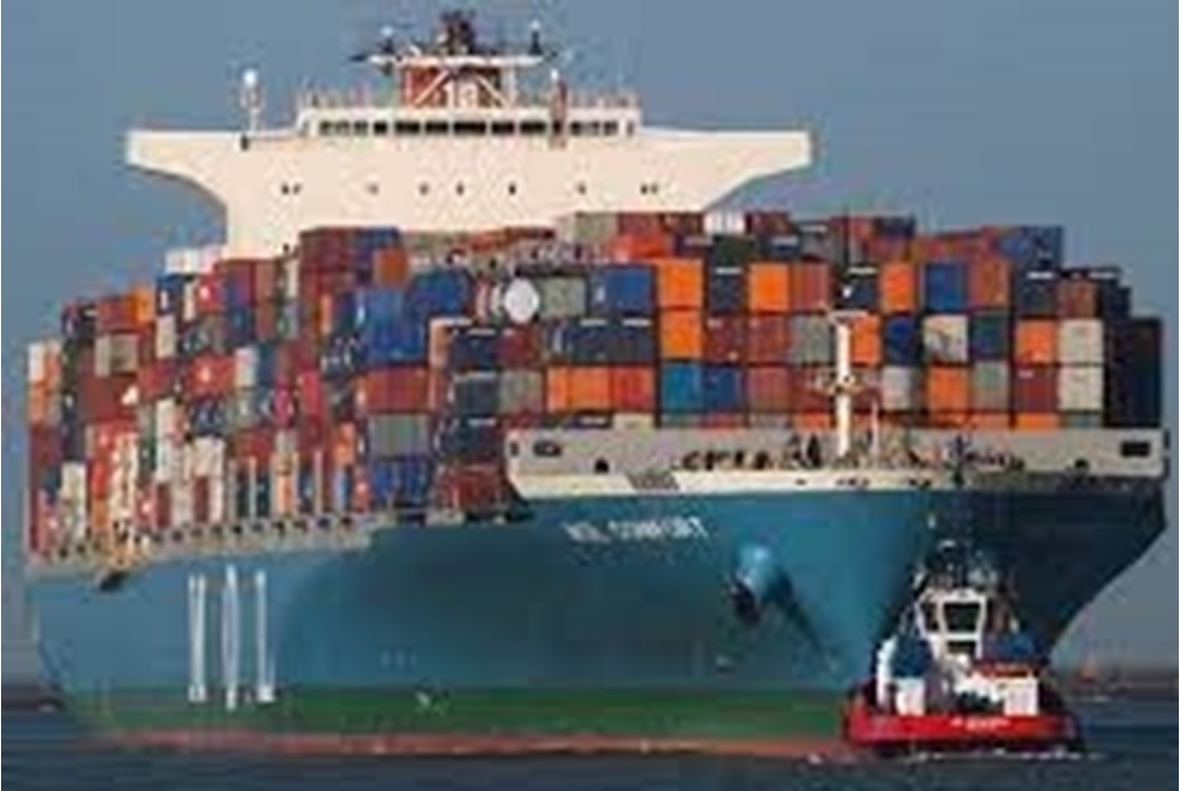 الصادرات المصرية