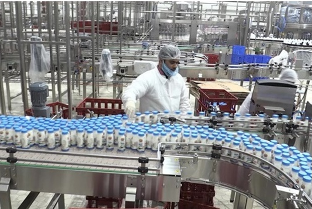 مركز تجميع ألبان