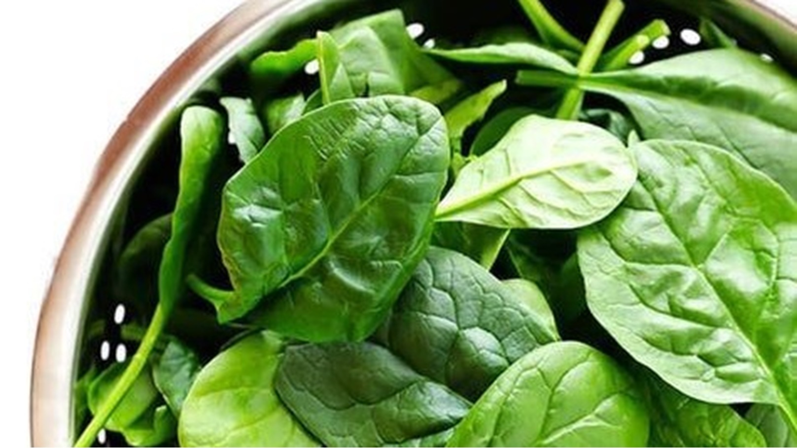 WhatsApp Image 2022-12-13 at 17.58.48