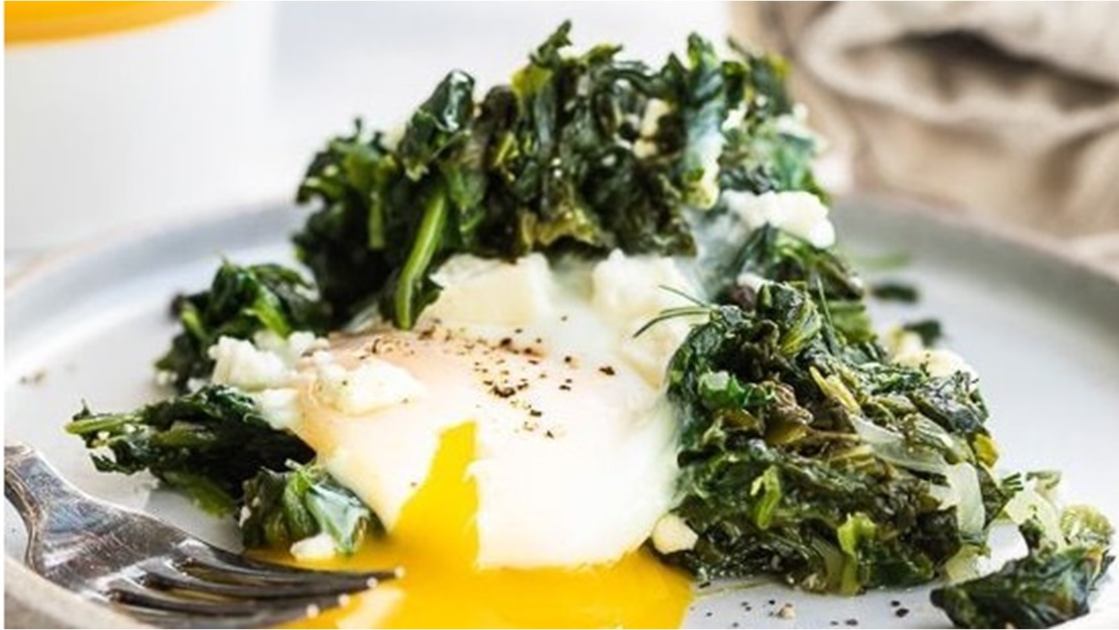 WhatsApp Image 2022-12-13 at 17.57.18