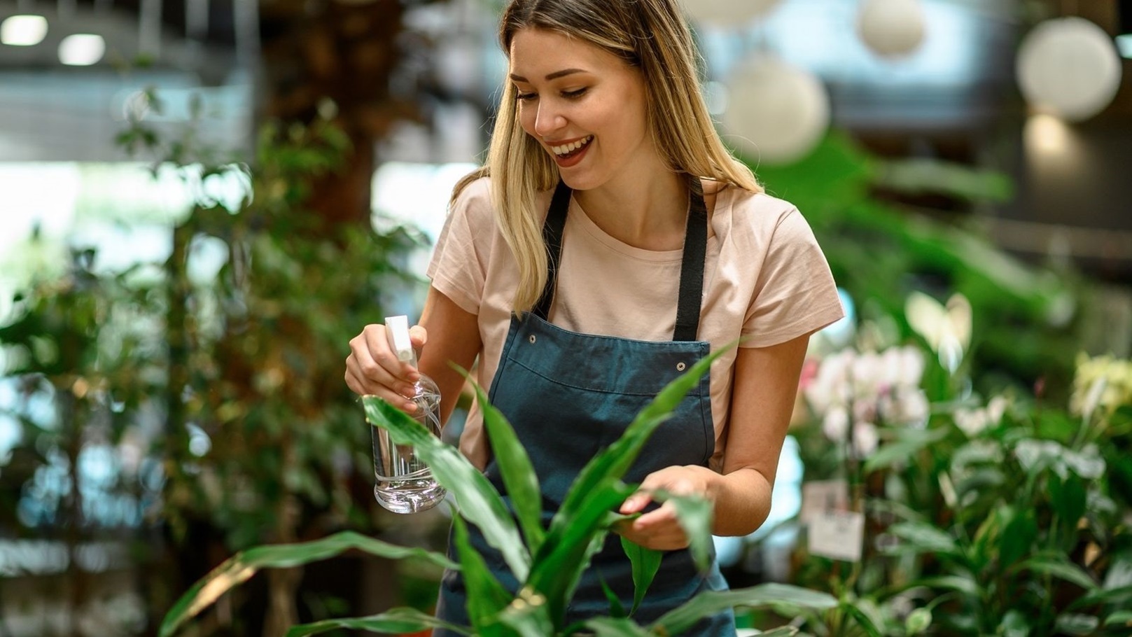 Image1_520221132028768351670-florist-taking-care-of-a-plant-while-spraying-it-w-2022-03-25-19-41-06-utc