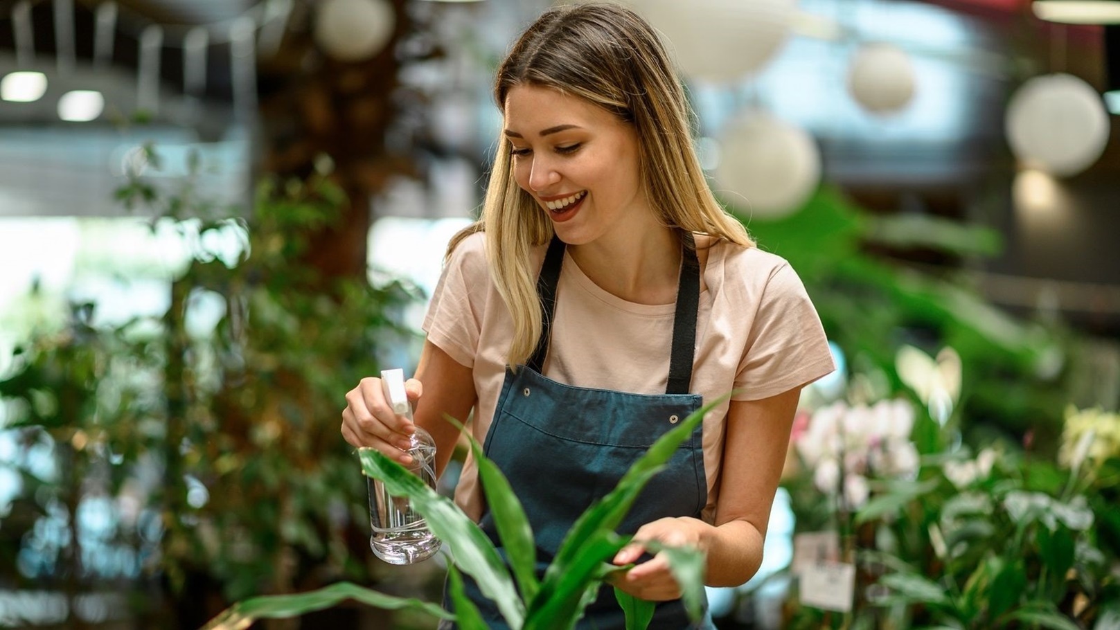 Image1_520221132028768351670-florist-taking-care-of-a-plant-while-spraying-it-w-2022-03-25-19-41-06-utc