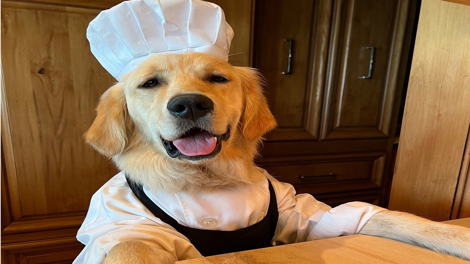 293746419_105584998892703_1168580734890477728_n