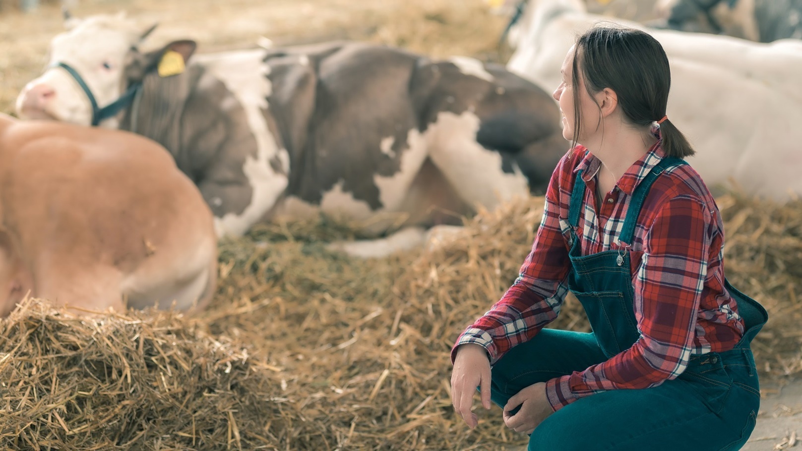 female-farmer-on-cow-dairy-farm-2021-08-27-23-44-49-utc