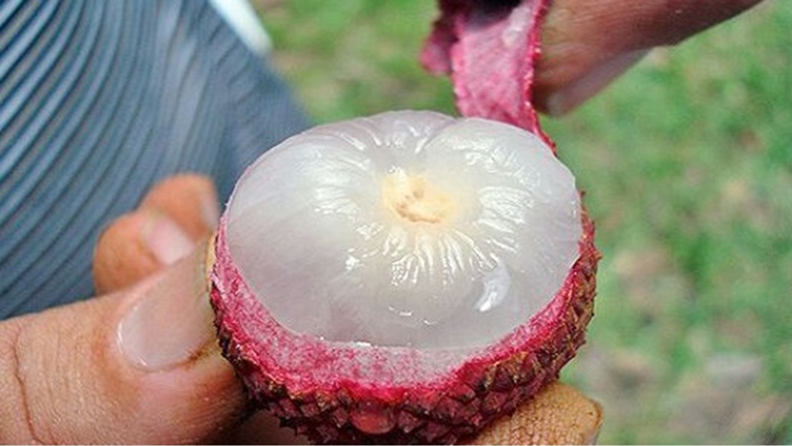 d85cd327173f80745b0dd1b667dccb9786484d25_hq