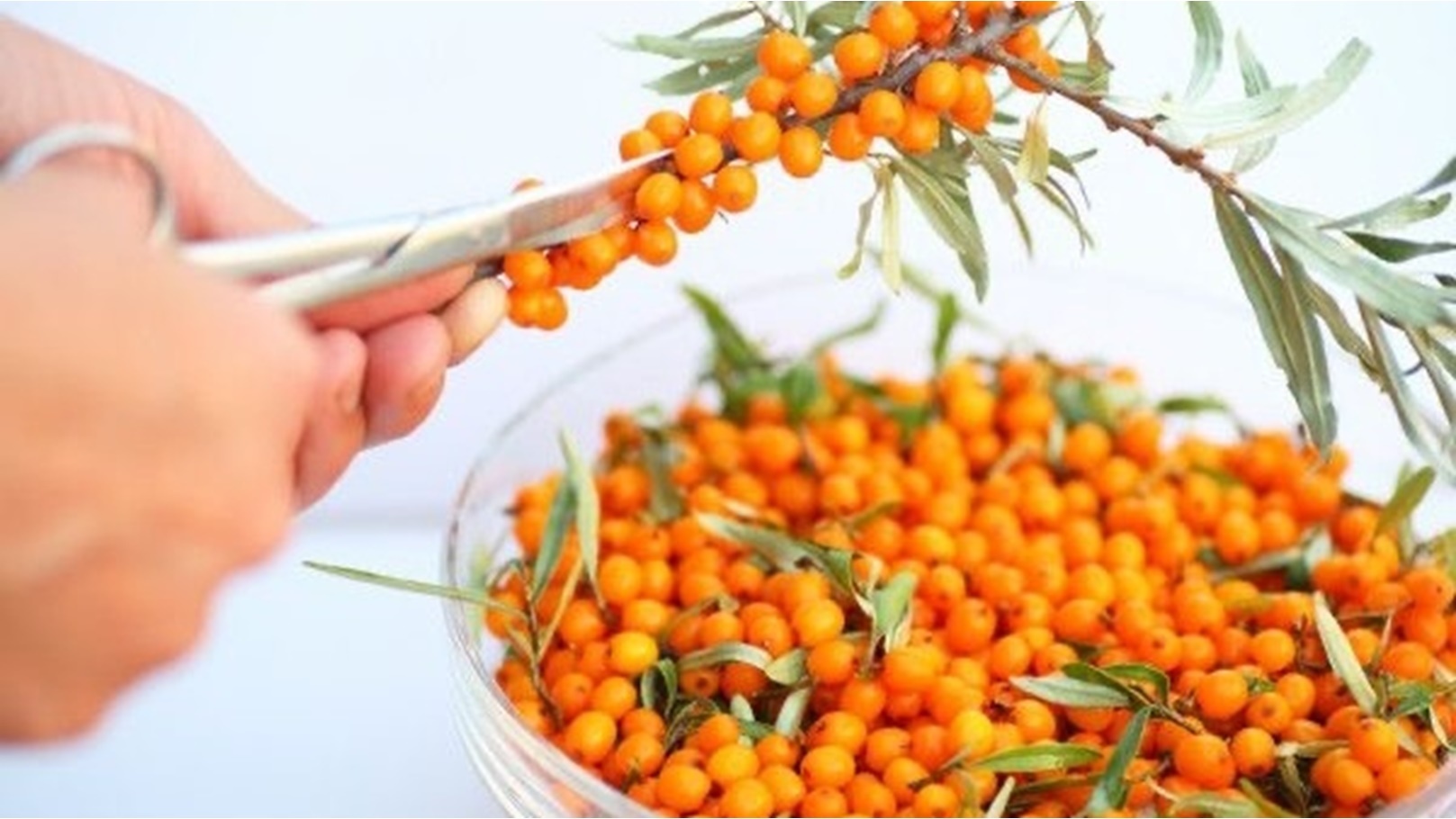 WhatsApp Image 2022-12-28 at 14.11.48