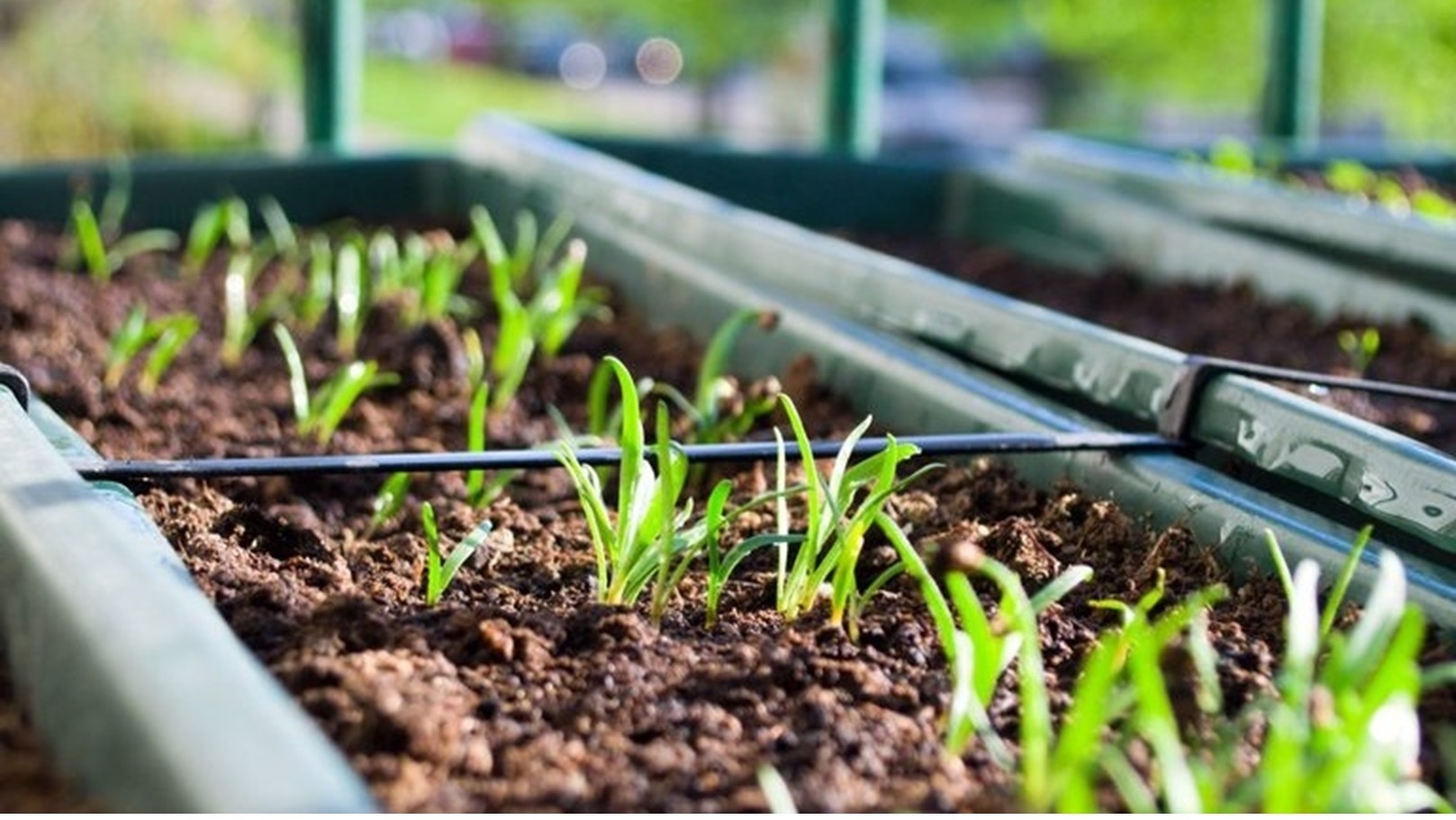 استصلاح الأراضي