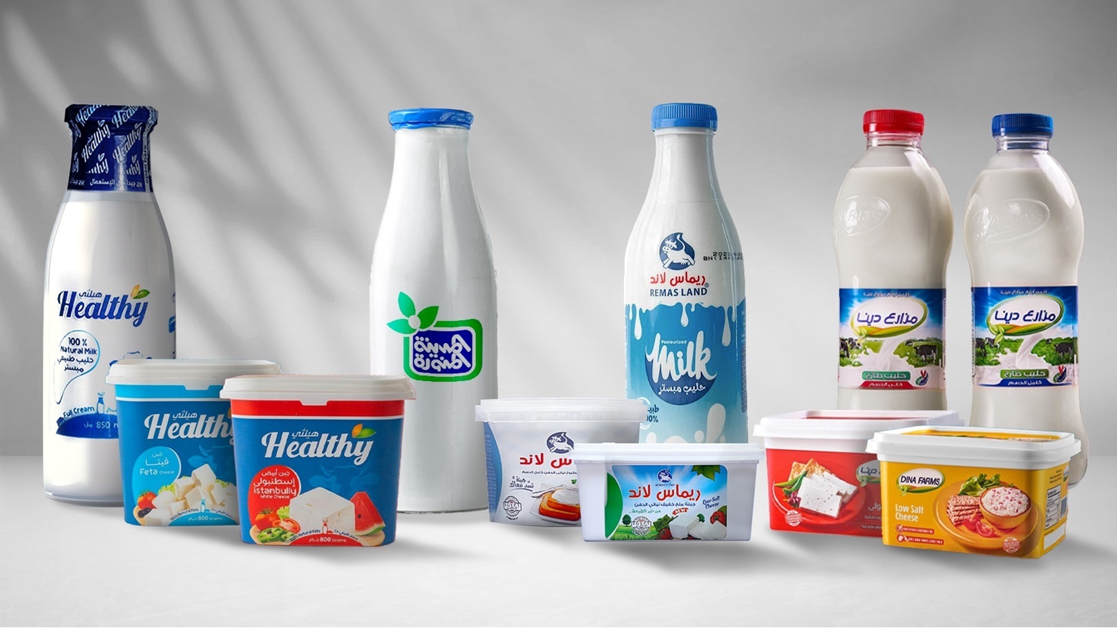 شركات ألبان