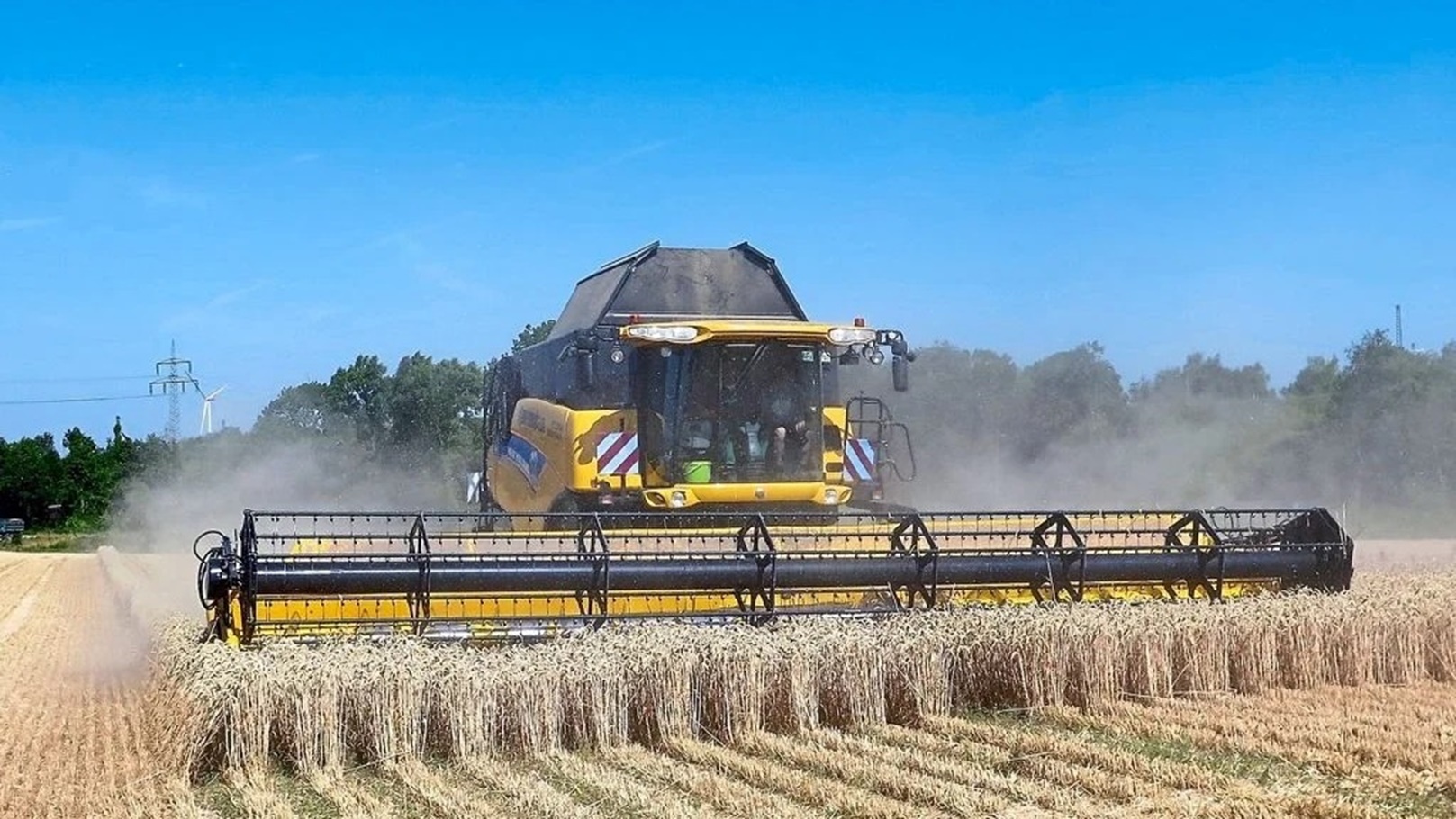 تأثير الطقس على الغذاء