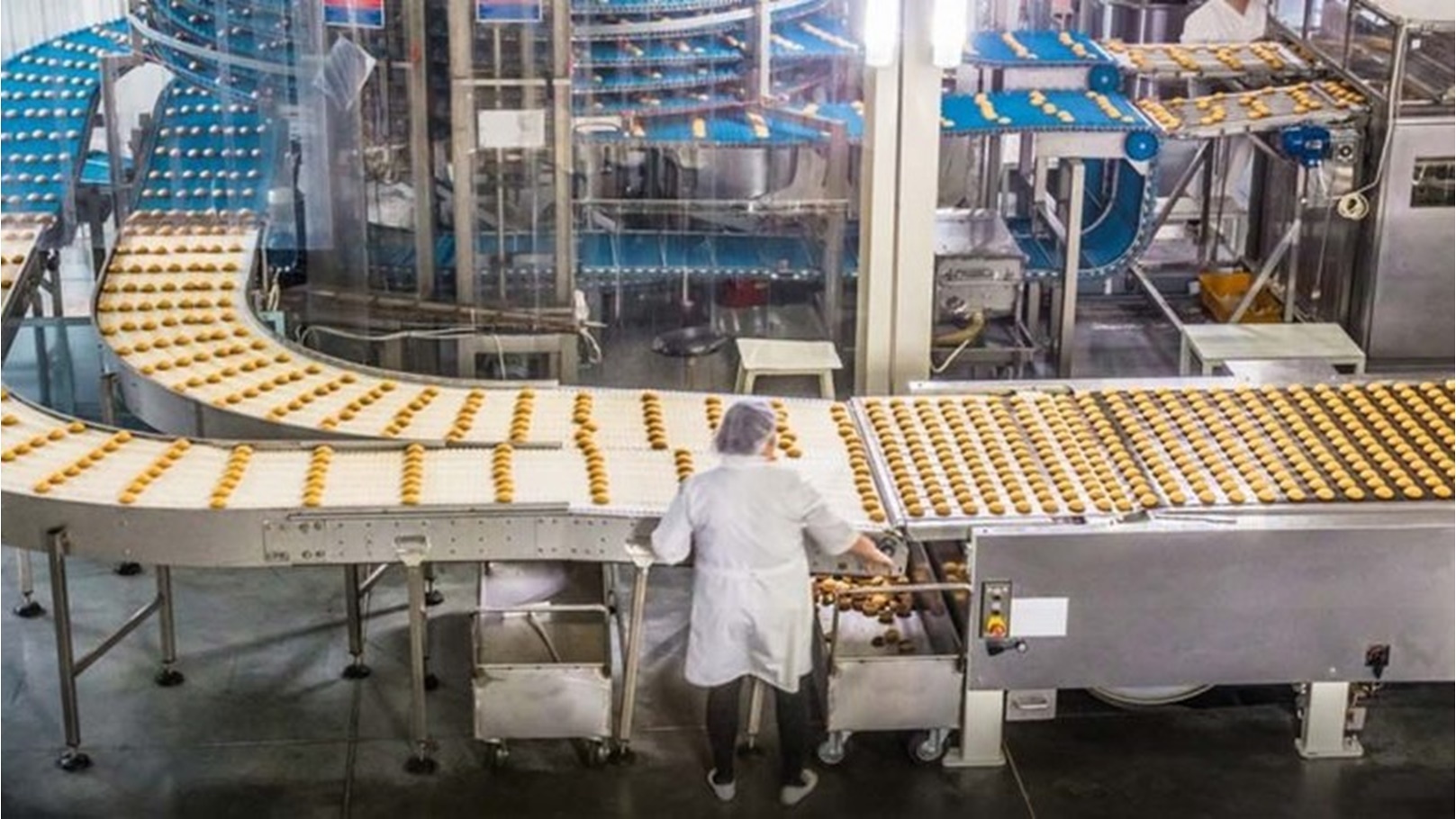 صناعات غذائية