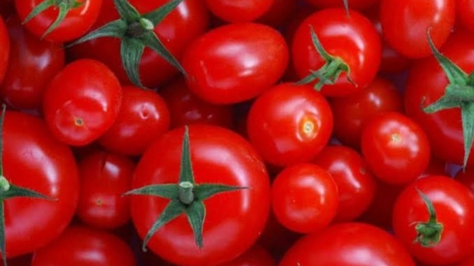 Screenshot_٢٠٢٤١٢٢٤_١٨٤٣٣٩