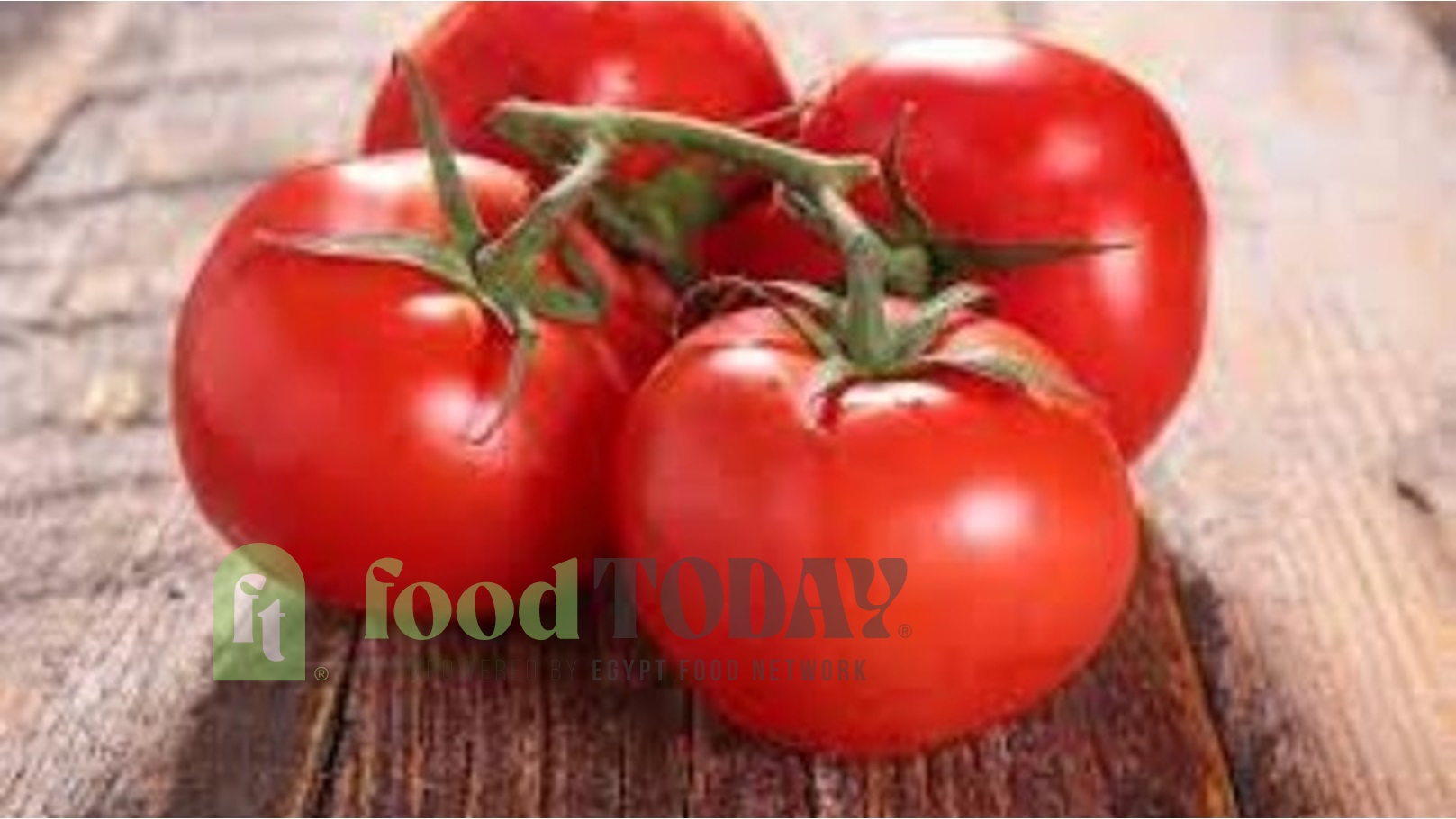 595839865520241205070527527