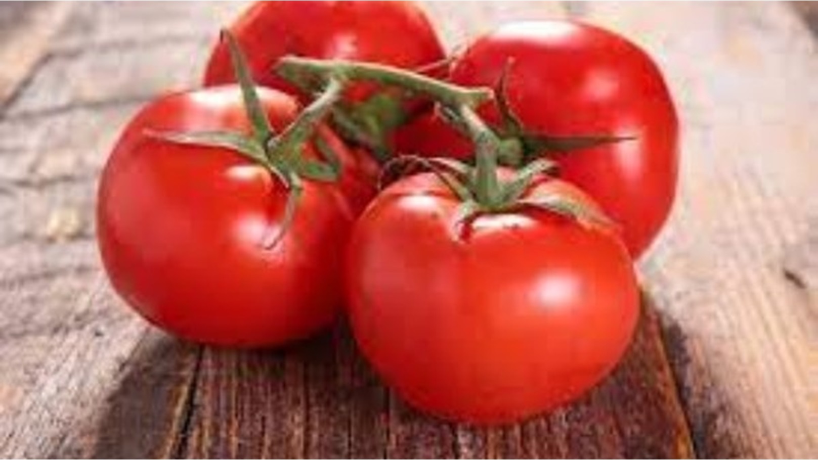 595839865520241205070527527